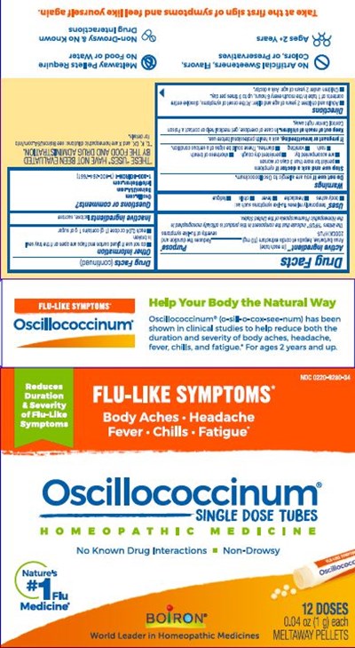 Oscillo 12 Dose Etu.1hc8 03.2022